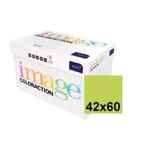 Karton Fashion Limegrn, 42x60cm 190g