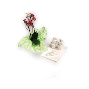 Silkekardus 42 x 62 cm grn 960 ark