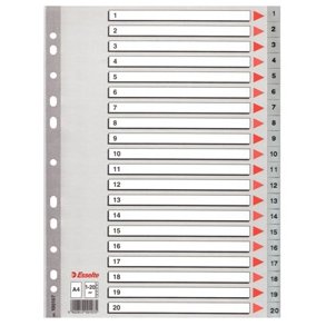 Esselte indices PP A4 1-20 Grey 10 stk