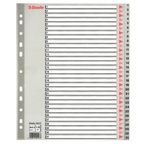 Faneblade - Esselte PP A4 Maxi 1-31 Gr - 10 stk