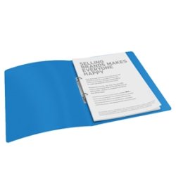 Esselte ringbinder Vivida PP 2RR/16 bl -10 stk
